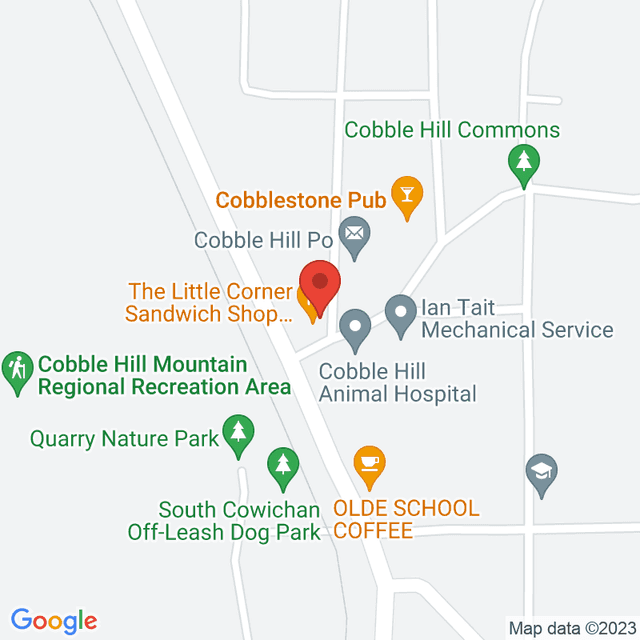 Location for TAOH Wellness Center 